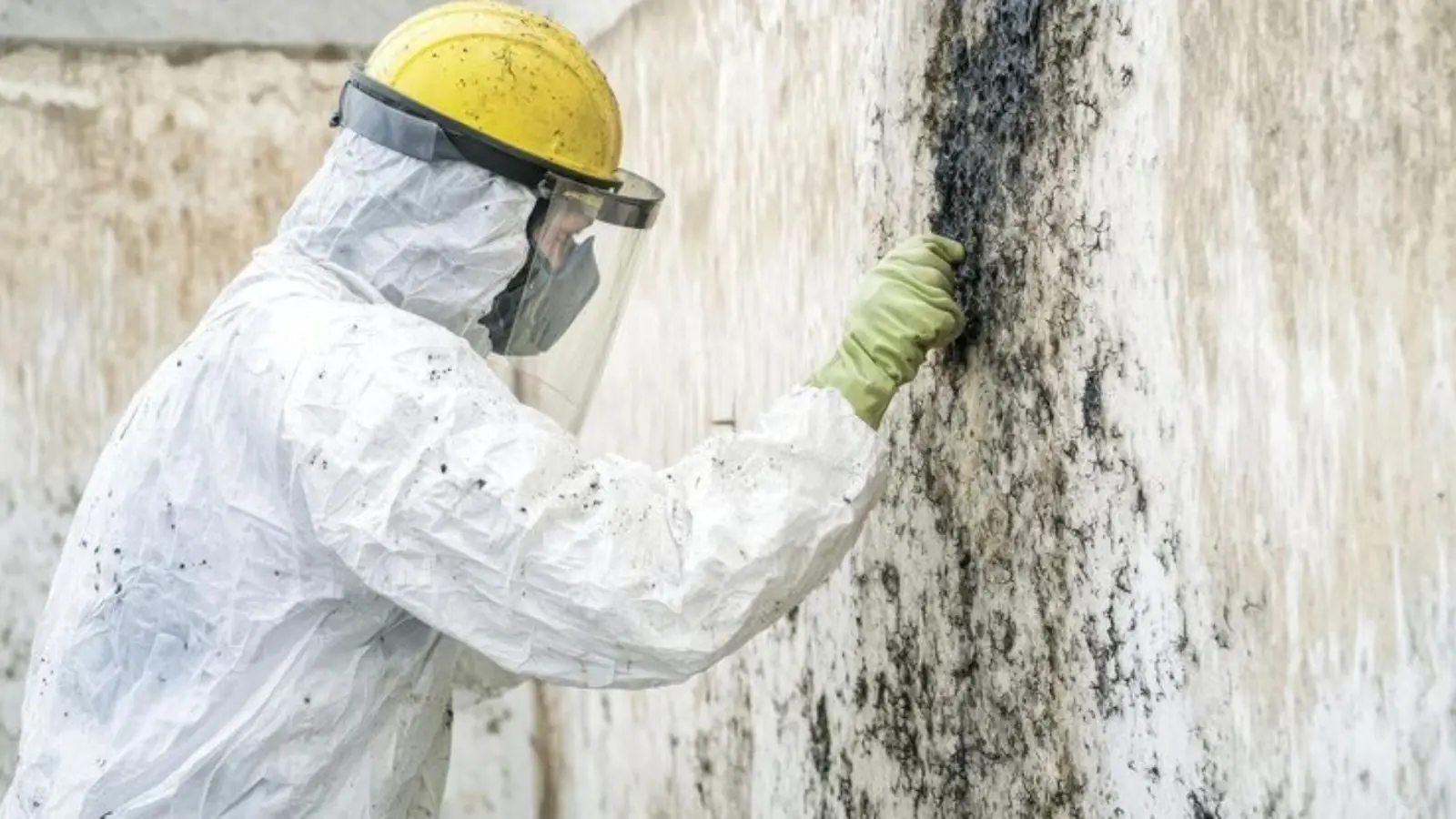 Worker in a hard hat, respirator and protective suit scrubbing mold from a wall