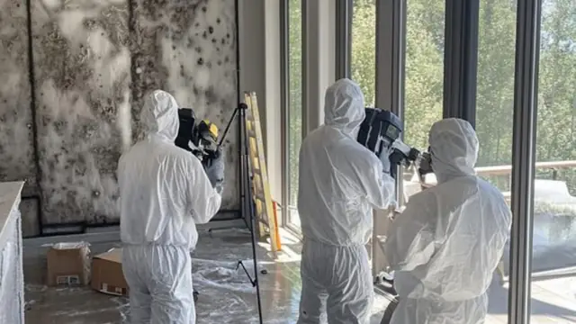 Remediation crew in white protective suits working in a room with mold on the walls