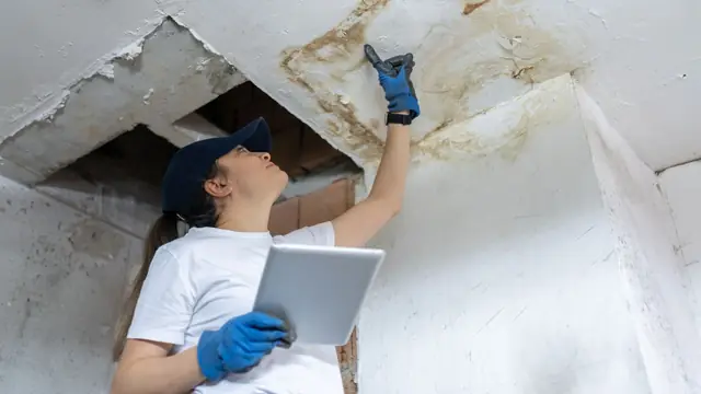 Inspector with a tablet pointing at a water stain on a ceiling